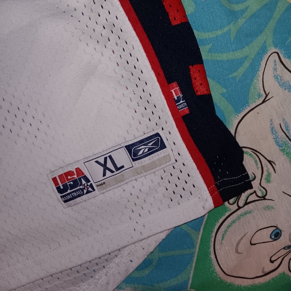 2004 Lebron James USA Olympics Vintage Swingman Basketball Jersey Authentic - Picture 7 of 9